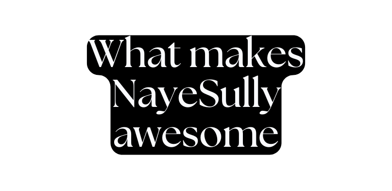 What makes NayeSully awesome
